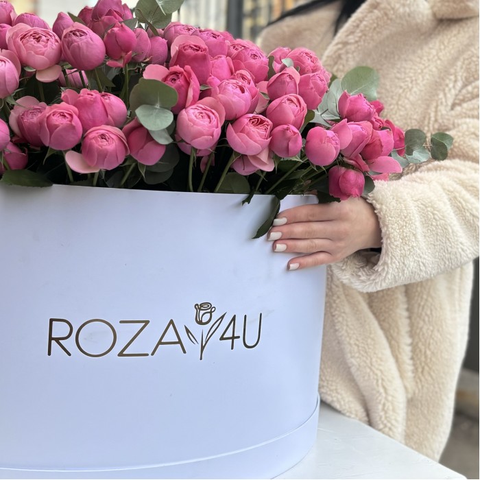 101 кустовая пионовидная роза Сильва Пинк в коробке с эвкалиптом