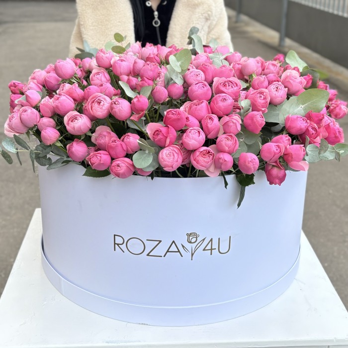101 кустовая пионовидная роза Сильва Пинк в коробке с эвкалиптом