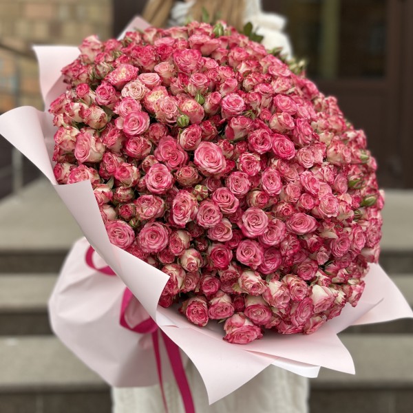 101 кустовая пионовидная роза Сансет Мэджик 50 см