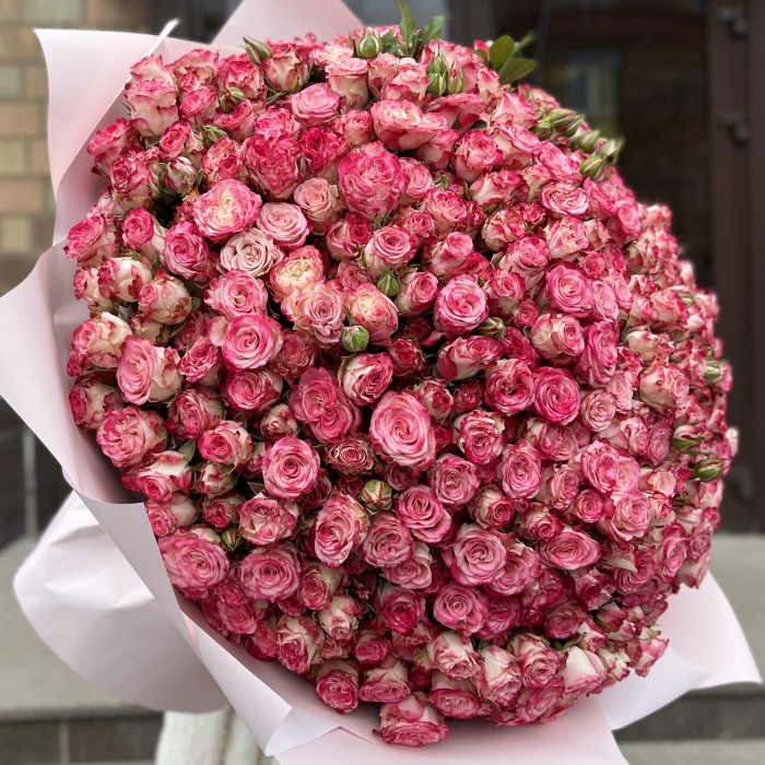 101 кустовая пионовидная роза Сансет Мэджик 60 см