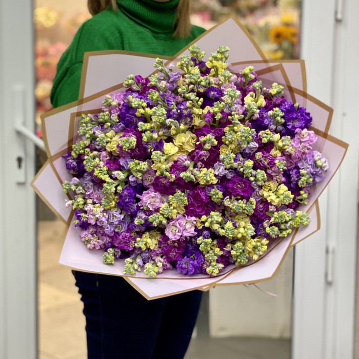 101 ароматная маттиола