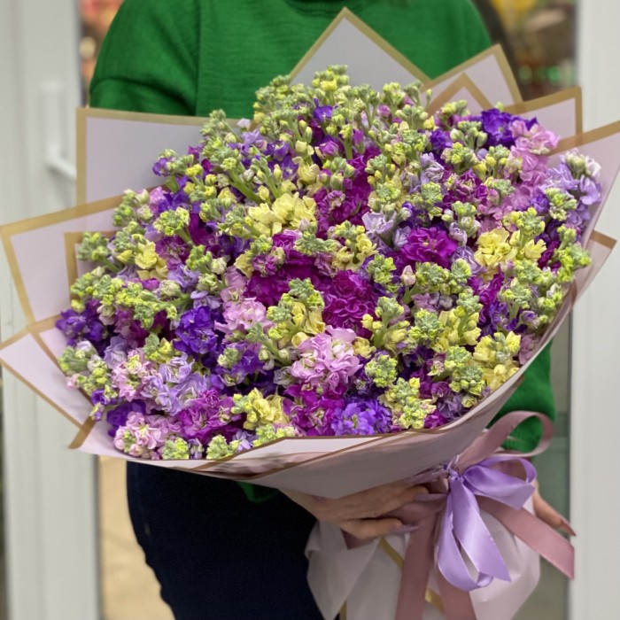 101 ароматная маттиола