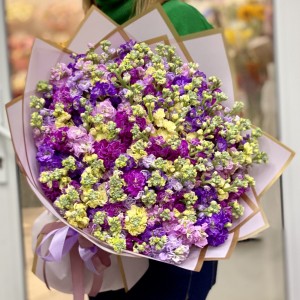 101 ароматная маттиола