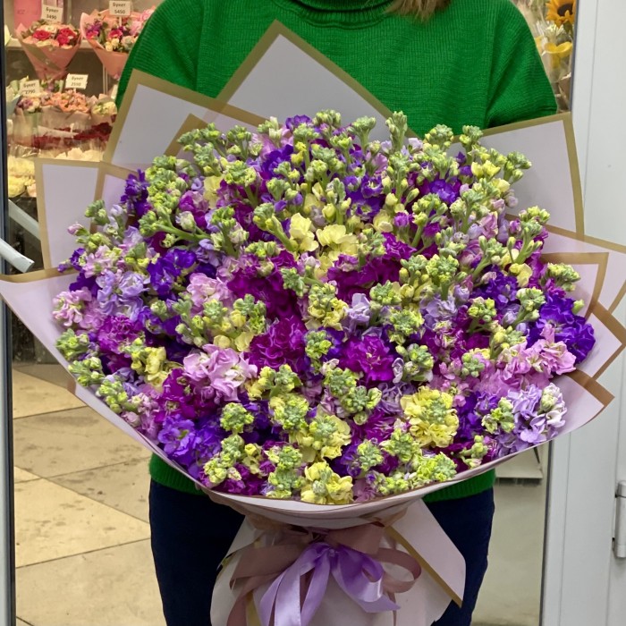 101 ароматная маттиола