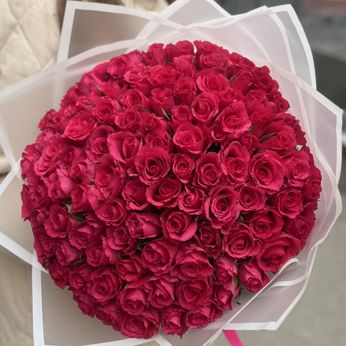 101 мини-роза малиновая
