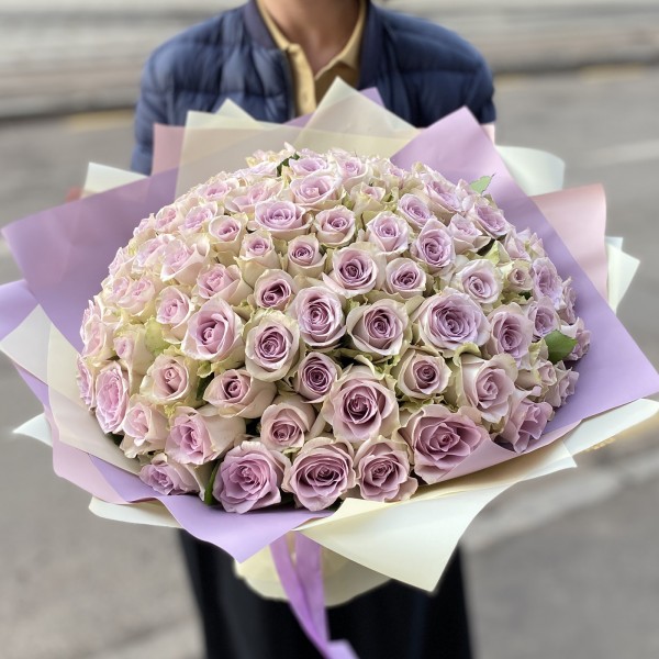 101 роза Морнинг дью