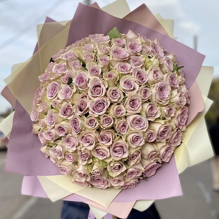 101 роза Морнинг дью