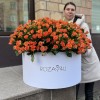 101 оранжевая кустовая роза Чарминг Бейб в коробке