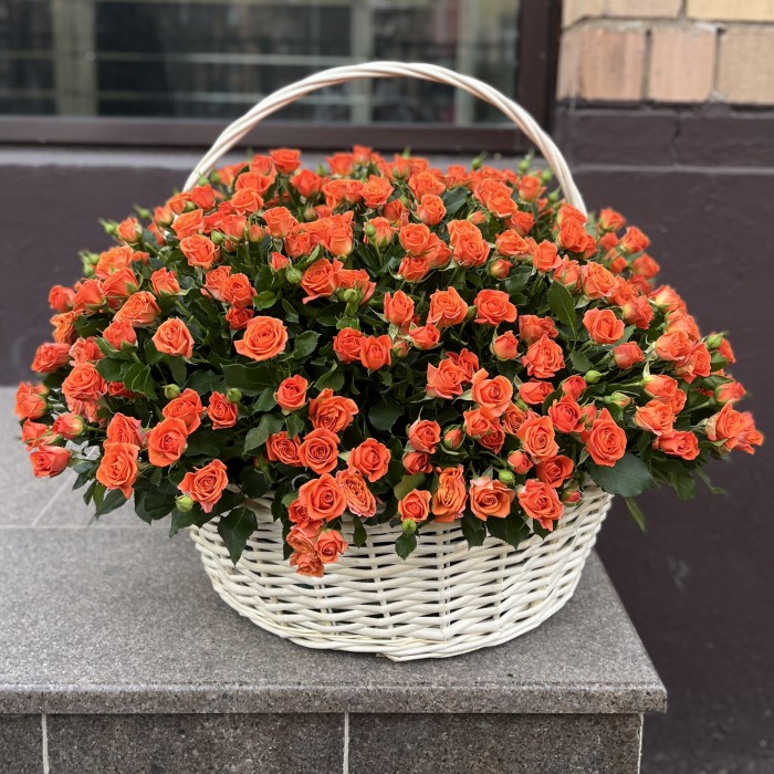 101 оранжевая кустовая роза Чарминг Бейб в корзине