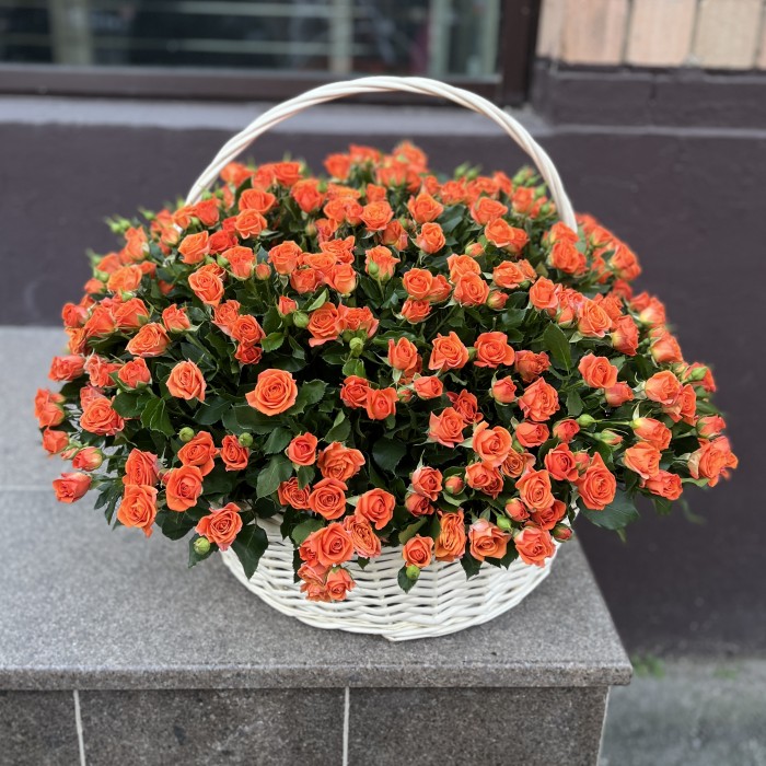 101 оранжевая кустовая роза Чарминг Бейб в корзине