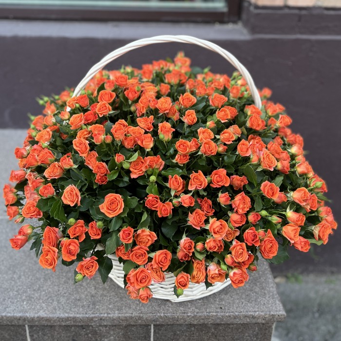 101 оранжевая кустовая роза Чарминг Бейб в корзине
