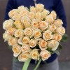 Персиковая роза  Кашмир