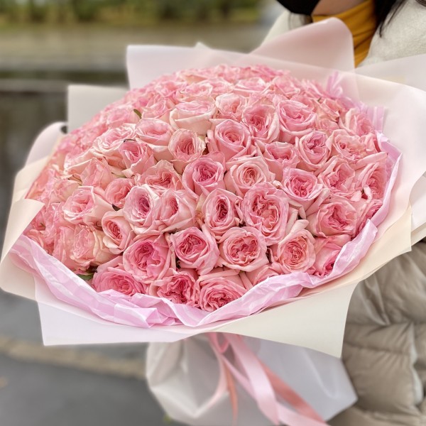101 ароматная роза Pink Ohara