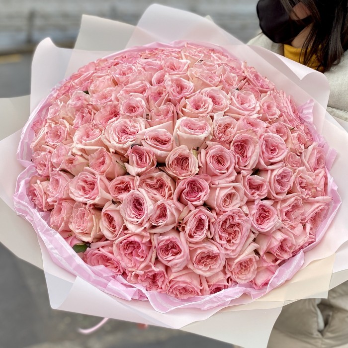 101 ароматная роза Pink Ohara