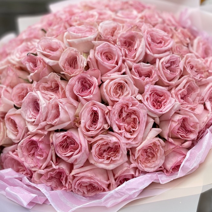 101 ароматная роза Pink Ohara