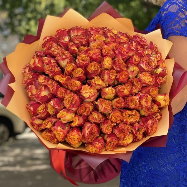 101 пионовидная роза Савера