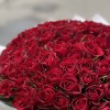 101 красная роза