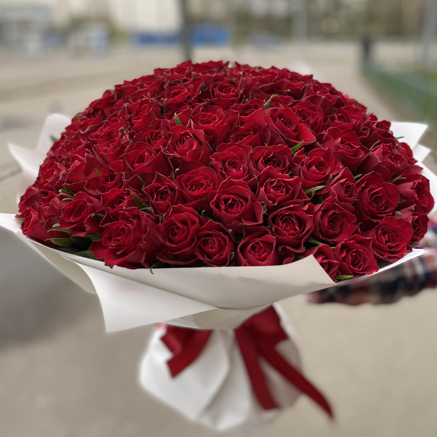 цветы 101 роза дешево в москве