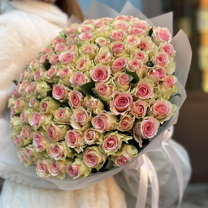 101 роза Топ-Гир 50 см