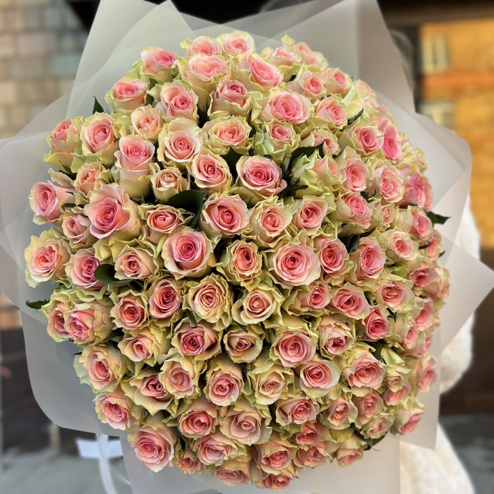 101 роза Топ-Гир 50 см