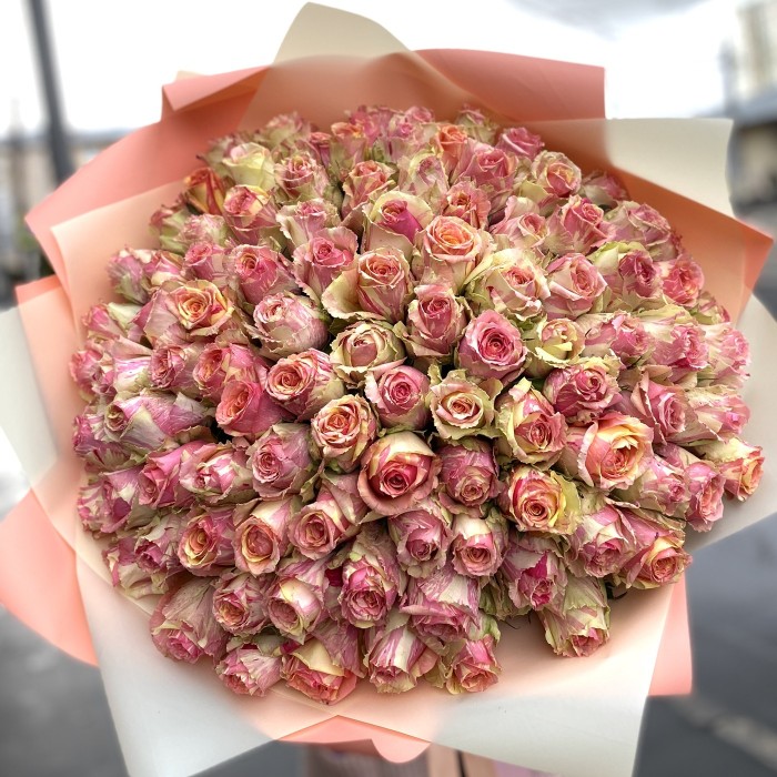 101 роза Фиеста (Fiesta)