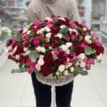 Что подарить девушке Водолею в январе, чтобы она была в восторге