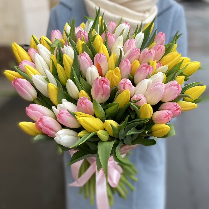 101 нежный тюльпан