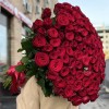 101 высокая Роза с шарами на День рождения
