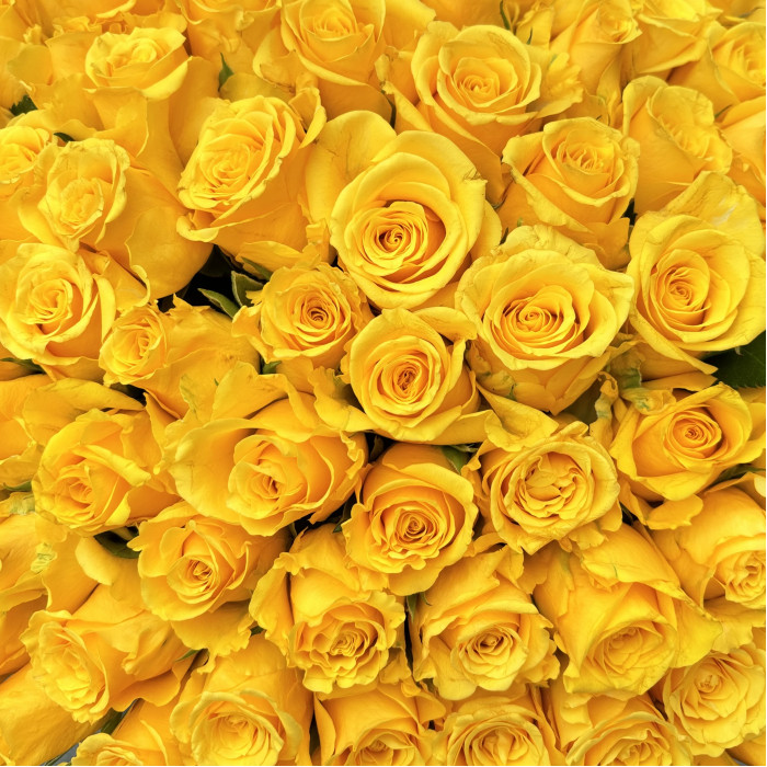 101 желтая роза в коробке