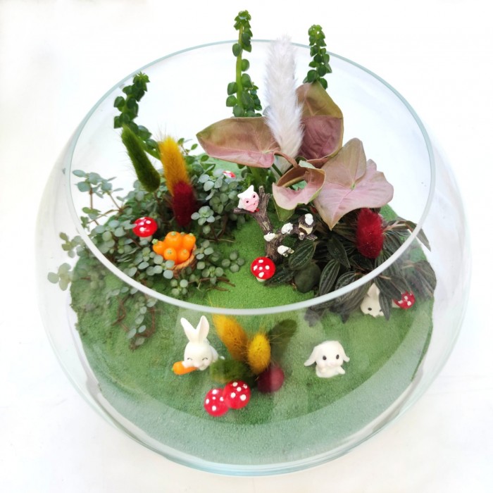 Флорариум Сказочный лес