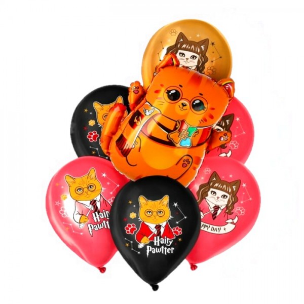 Набор шаров Котик волшебник