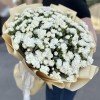 101 белая кустовая гвоздика