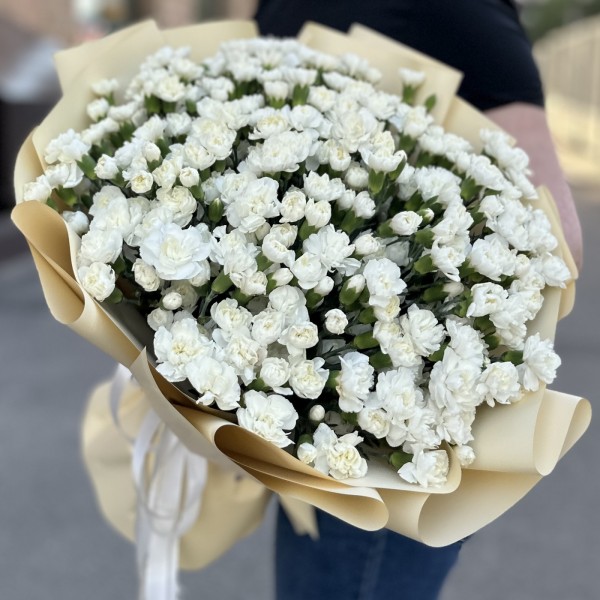 101 белая кустовая гвоздика