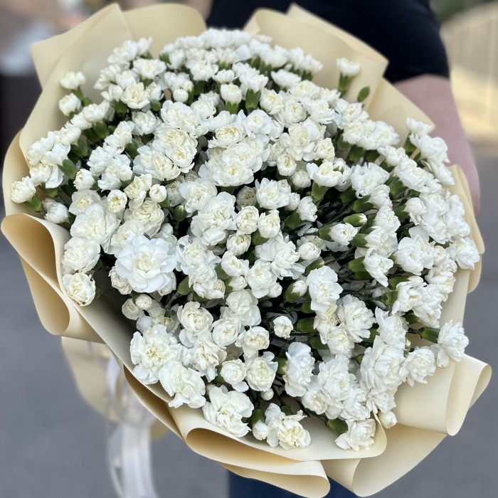 101 белая кустовая гвоздика