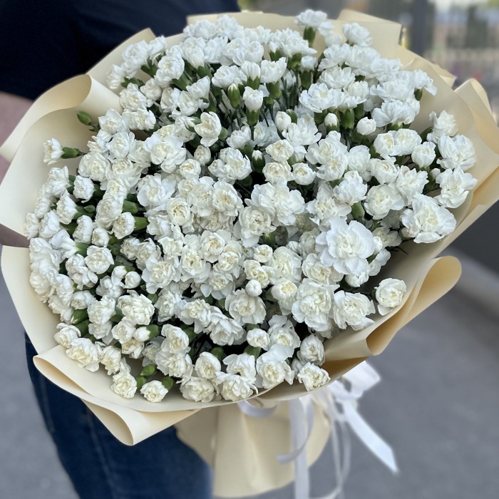 101 белая кустовая гвоздика