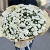 101 белая кустовая гвоздика