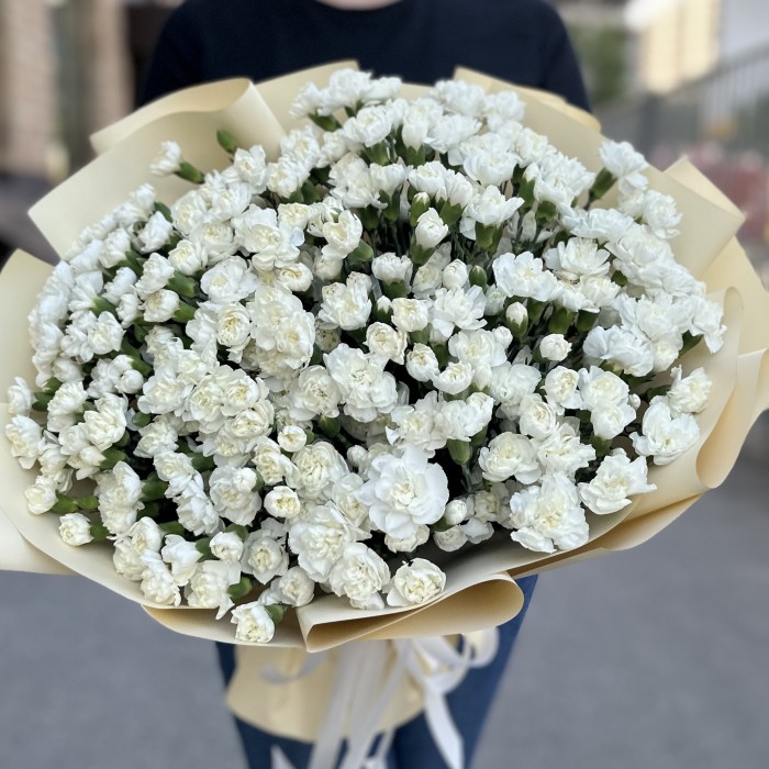 101 белая кустовая гвоздика