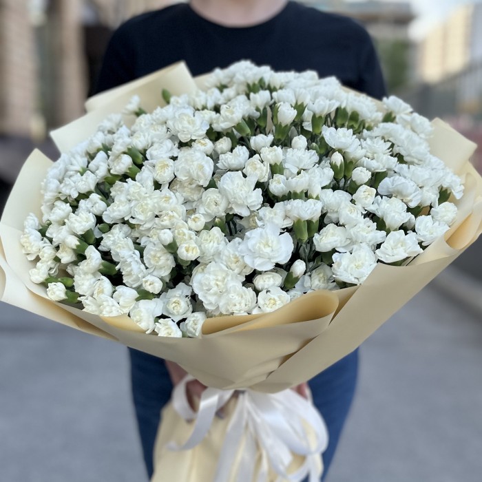 101 белая кустовая гвоздика