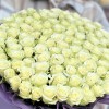 101 белая роза в шляпной коробке