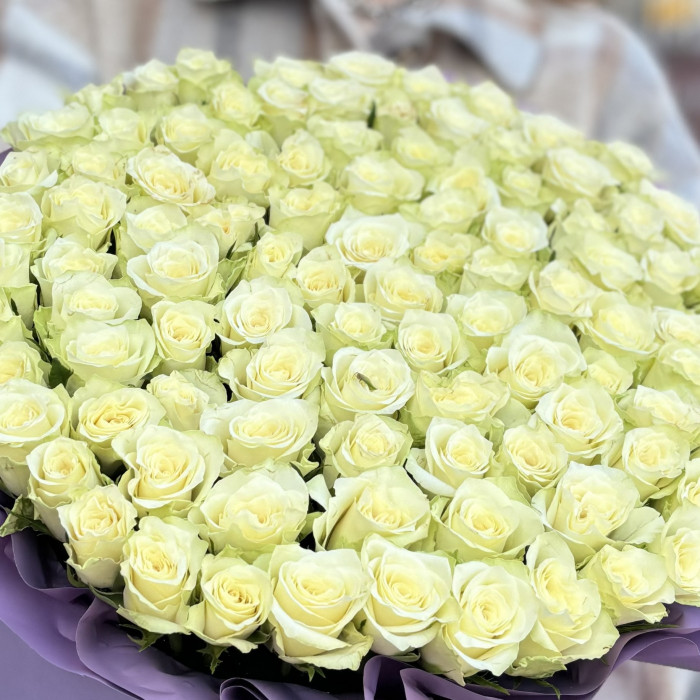 101 белая роза в шляпной коробке