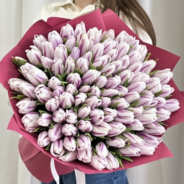 101 бело-фиолетовый тюльпан Флеминг Флег