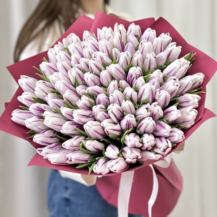 101 бело-фиолетовый тюльпан Флеминг Флег