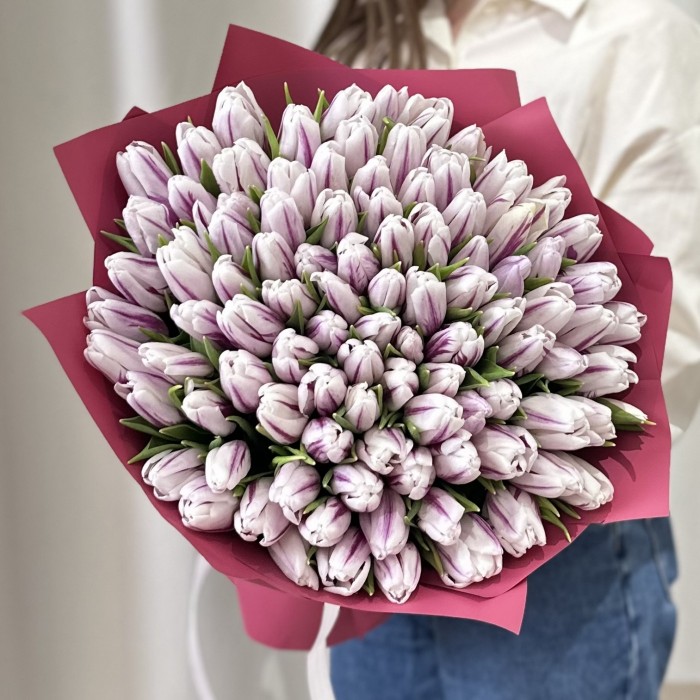 101 бело-фиолетовый тюльпан Флеминг Флег