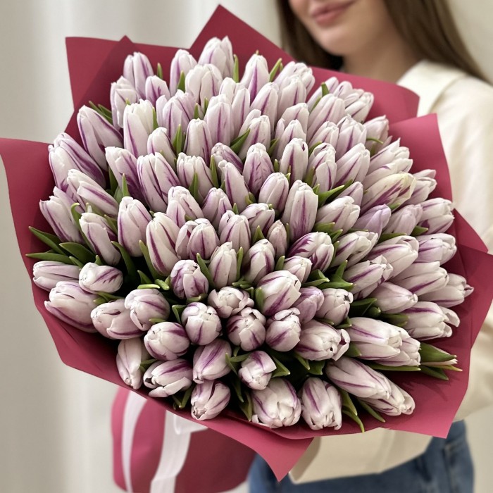 101 бело-фиолетовый тюльпан Флеминг Флег