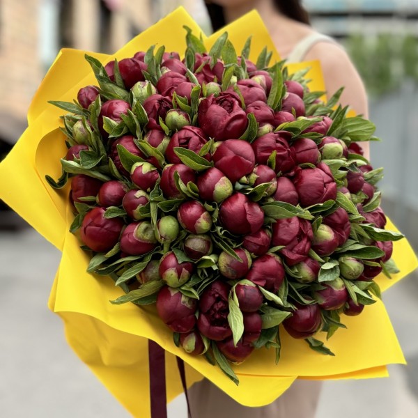 101 бордовый пион