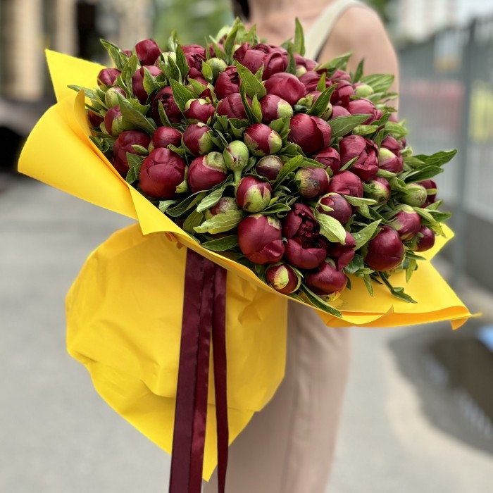 101 бордовый пион