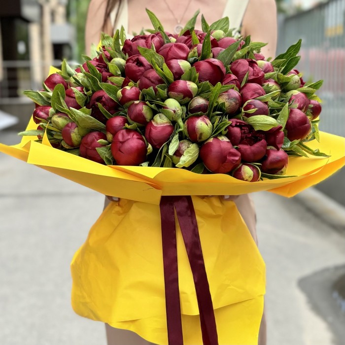 101 бордовый пион