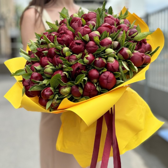 101 бордовый пион