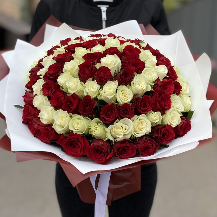 101 красная и белая роза в букете Вихрь Чувств