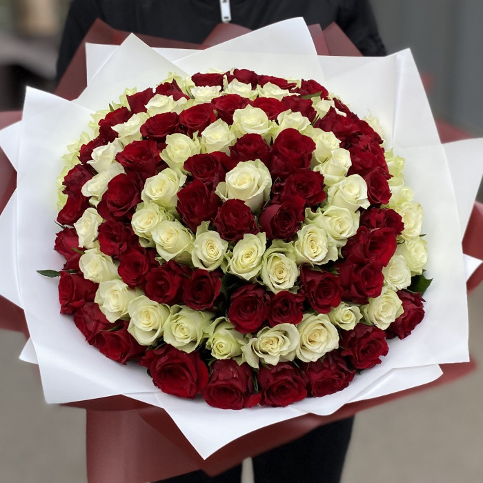 101 красная и белая роза в букете Вихрь Чувств